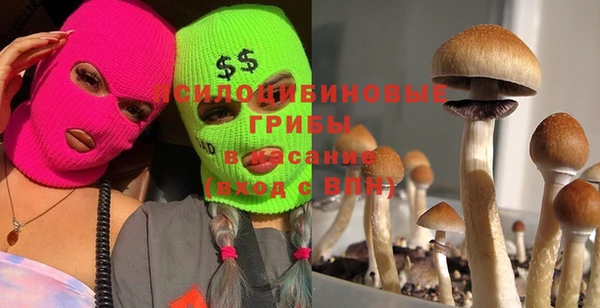 дмт Абаза
