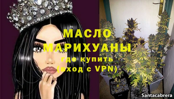 индика Абинск